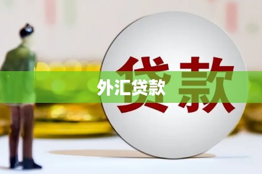 开平外汇贷款