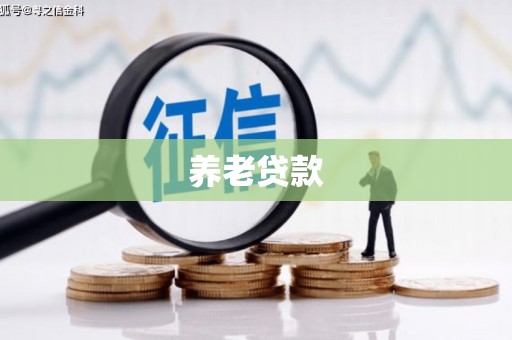 开平养老贷款