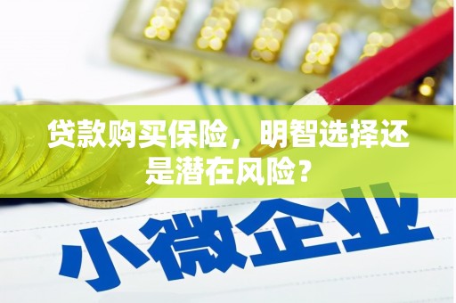 开平贷款购买保险，明智选择还是潜在风险？