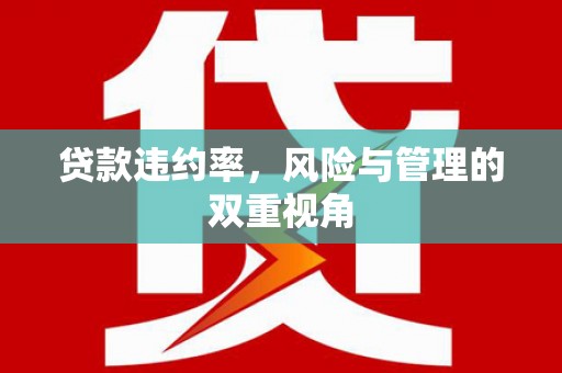 开平贷款违约率，风险与管理的双重视角
