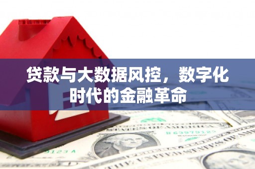 开平贷款与大数据风控，数字化时代的金融革命