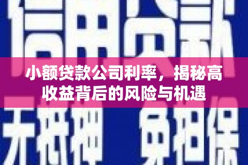 开平小额贷款公司利率，揭秘高收益背后的风险与机遇