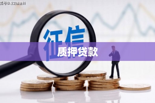 开平质押贷款