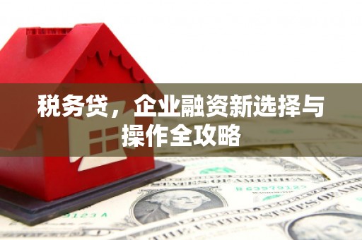 开平税务贷，企业融资新选择与操作全攻略