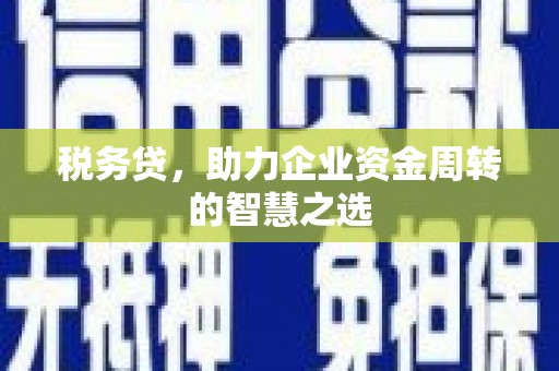 开平税务贷，助力企业资金周转的智慧之选