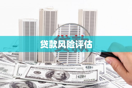 开平贷款风险评估