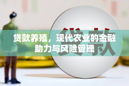 开平贷款养殖，现代农业的金融助力与风险管理