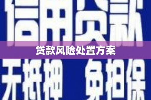 开平贷款风险处置方案