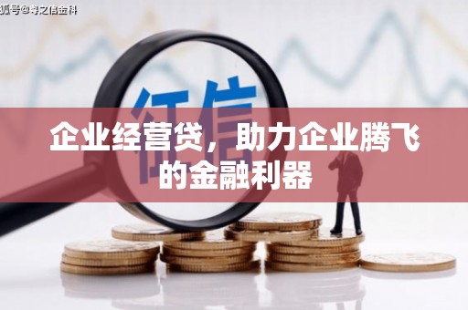 开平企业经营贷，助力企业腾飞的金融利器