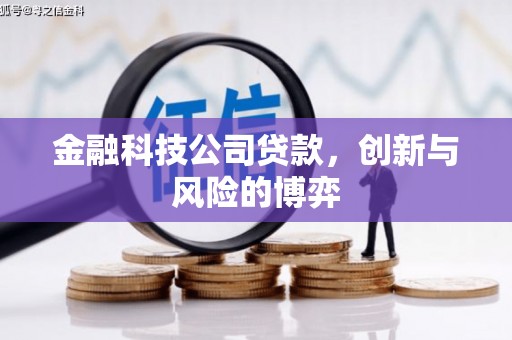开平金融科技公司贷款，创新与风险的博弈
