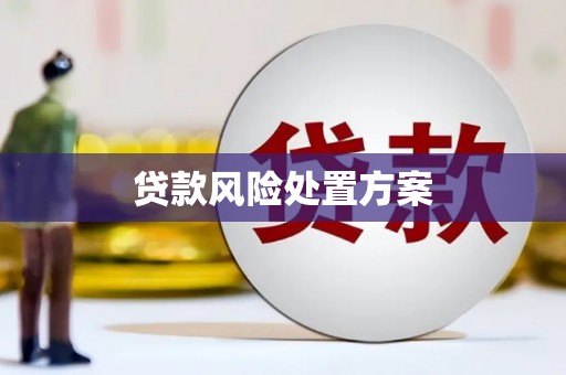 开平贷款风险处置方案