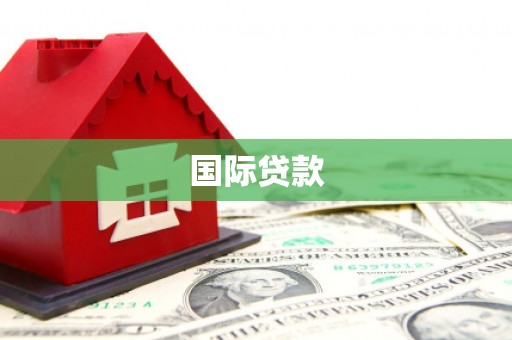 开平国际贷款
