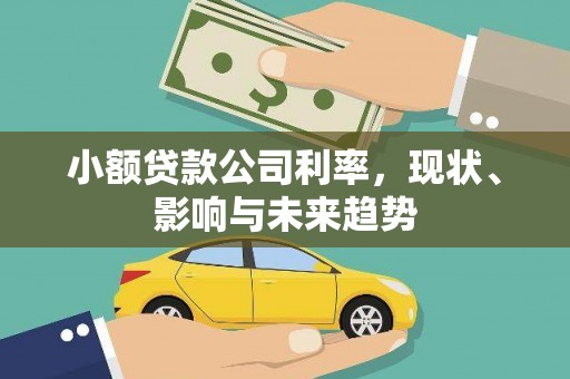 开平小额贷款公司利率，现状、影响与未来趋势