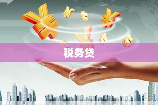 开平税务贷