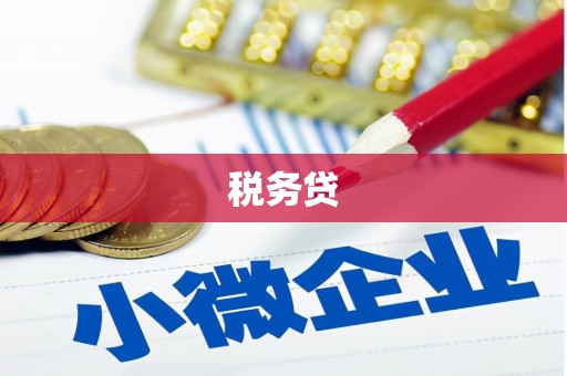 开平税务贷