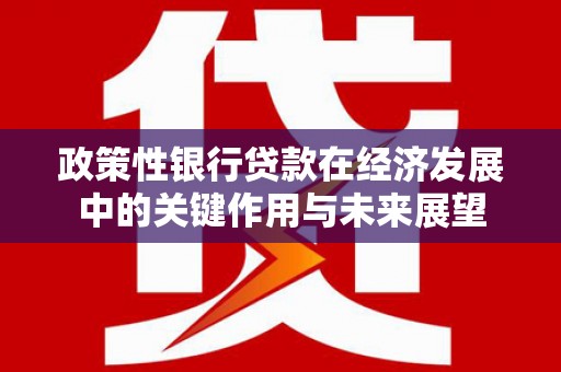 开平政策性银行贷款在经济发展中的关键作用与未来展望