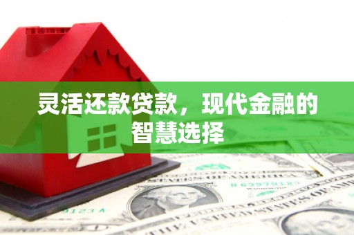 开平灵活还款贷款，现代金融的智慧选择