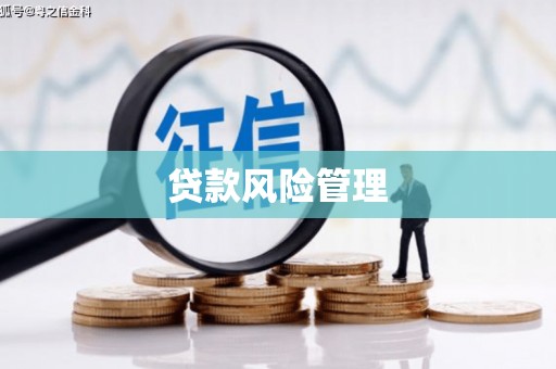 开平贷款风险管理