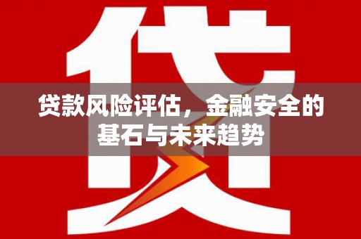 开平贷款风险评估，金融安全的基石与未来趋势