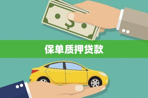 开平保单质押贷款
