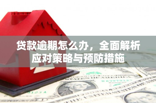 开平贷款逾期怎么办，全面解析应对策略与预防措施