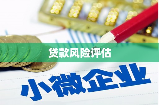 开平贷款风险评估