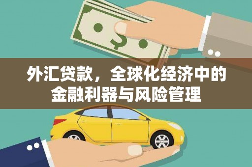 开平外汇贷款，全球化经济中的金融利器与风险管理