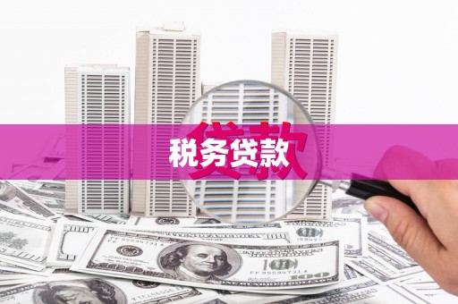 开平税务贷款