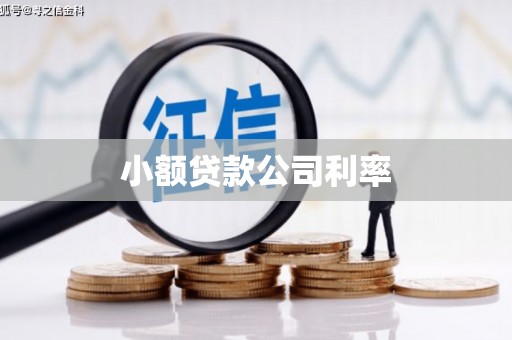 开平小额贷款公司利率