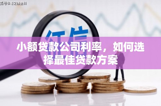 开平小额贷款公司利率，如何选择最佳贷款方案