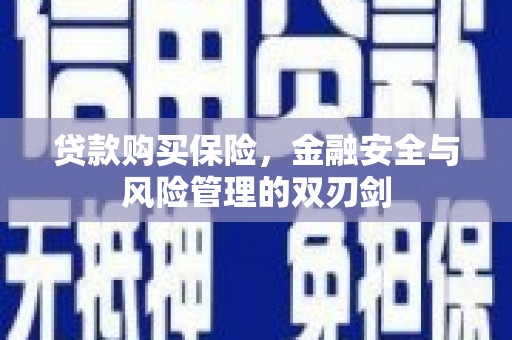 开平贷款购买保险，金融安全与风险管理的双刃剑