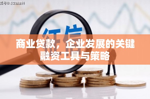 开平商业贷款，企业发展的关键融资工具与策略