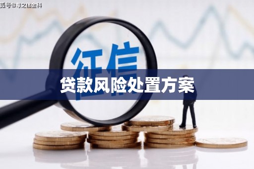 开平贷款风险处置方案