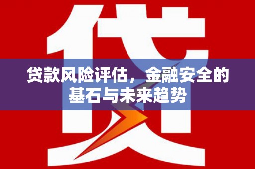 开平贷款风险评估，金融安全的基石与未来趋势