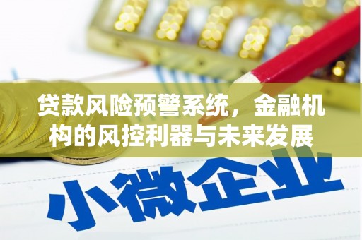 开平贷款风险预警系统，金融机构的风控利器与未来发展