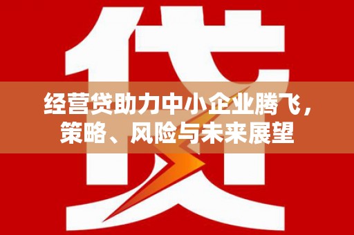 开平经营贷助力中小企业腾飞，策略、风险与未来展望