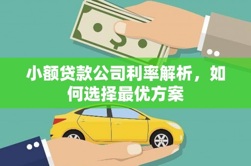 开平小额贷款公司利率解析，如何选择最优方案
