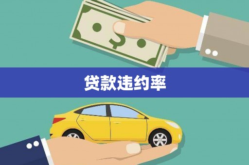 开平贷款违约率