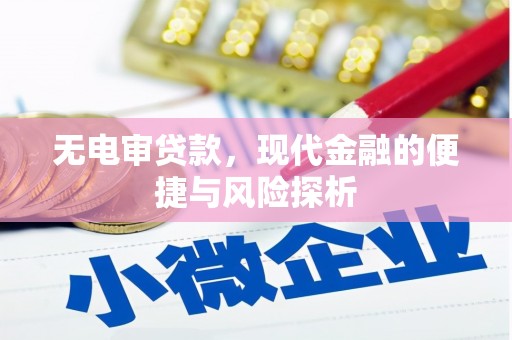 开平无电审贷款，现代金融的便捷与风险探析