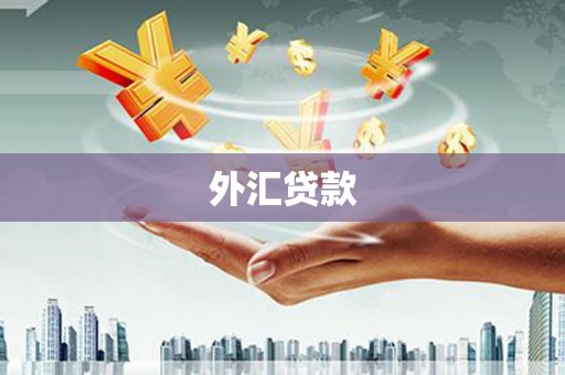 开平外汇贷款