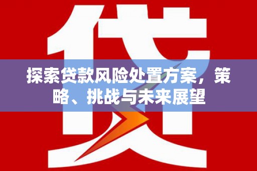 开平探索贷款风险处置方案，策略、挑战与未来展望