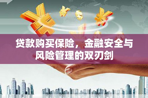 开平贷款购买保险，金融安全与风险管理的双刃剑