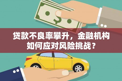 开平贷款不良率攀升，金融机构如何应对风险挑战？