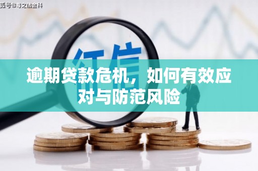 开平逾期贷款危机，如何有效应对与防范风险