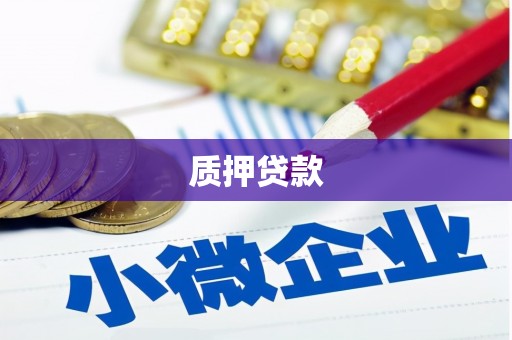 开平质押贷款