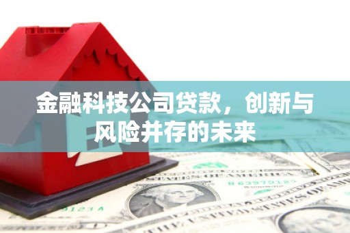 开平金融科技公司贷款，创新与风险并存的未来