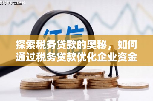 开平探索税务贷款的奥秘，如何通过税务贷款优化企业资金流