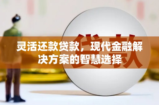 开平灵活还款贷款，现代金融解决方案的智慧选择