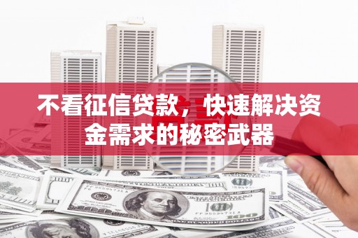 开平不看征信贷款，快速解决资金需求的秘密武器