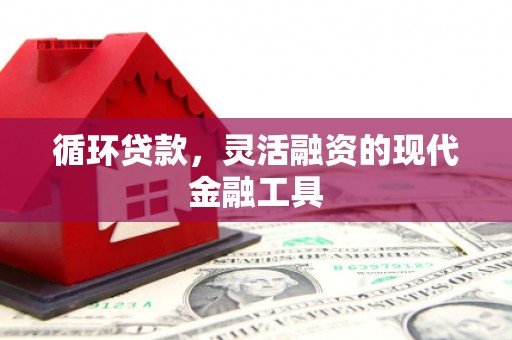 开平循环贷款，灵活融资的现代金融工具